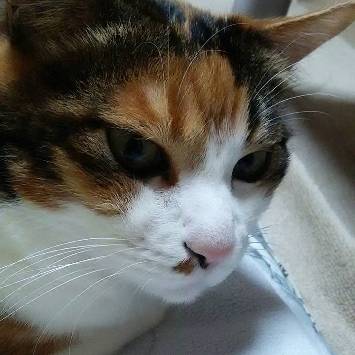 D817eac3 5dbe 419f 8e10 824074ee61e1