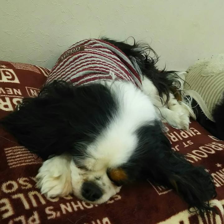 D8181b5b d062 4ff9 9b2c 83aadea1da4b