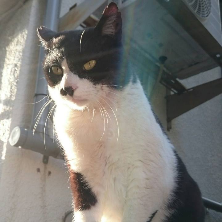 D818ccc1 0893 4ab0 b2ec b0d0713fd527