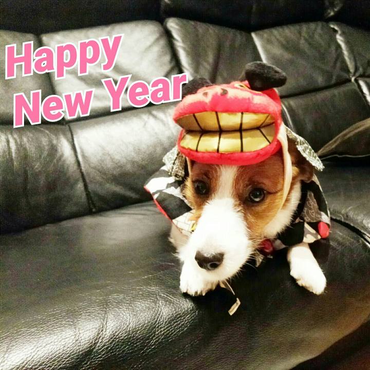 D818ee99 6776 42d5 adec 0273d6b518bc