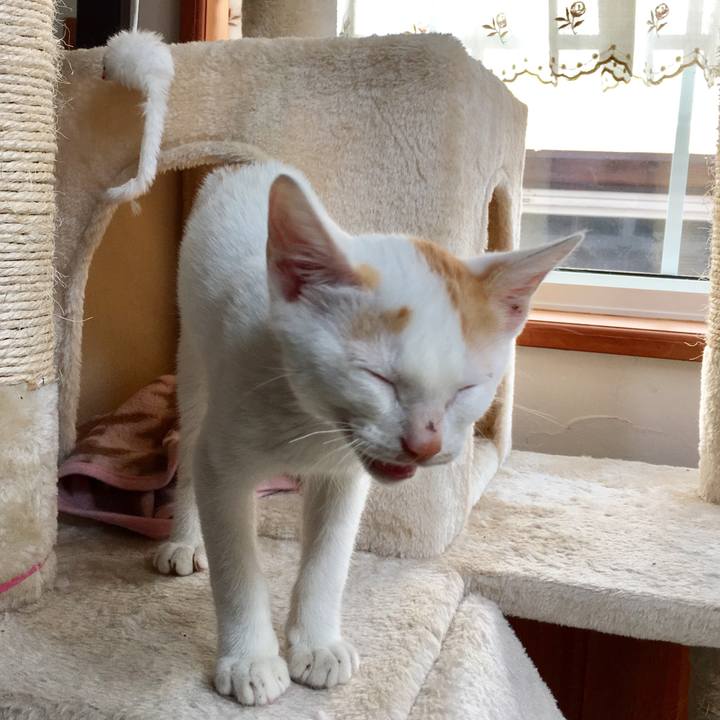 D819345e da85 44cb a7c2 40a790d990d6