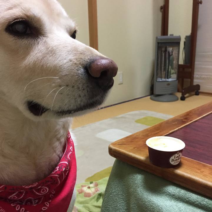 D8195b22 765e 43c0 97c8 a0a8dfac41bd