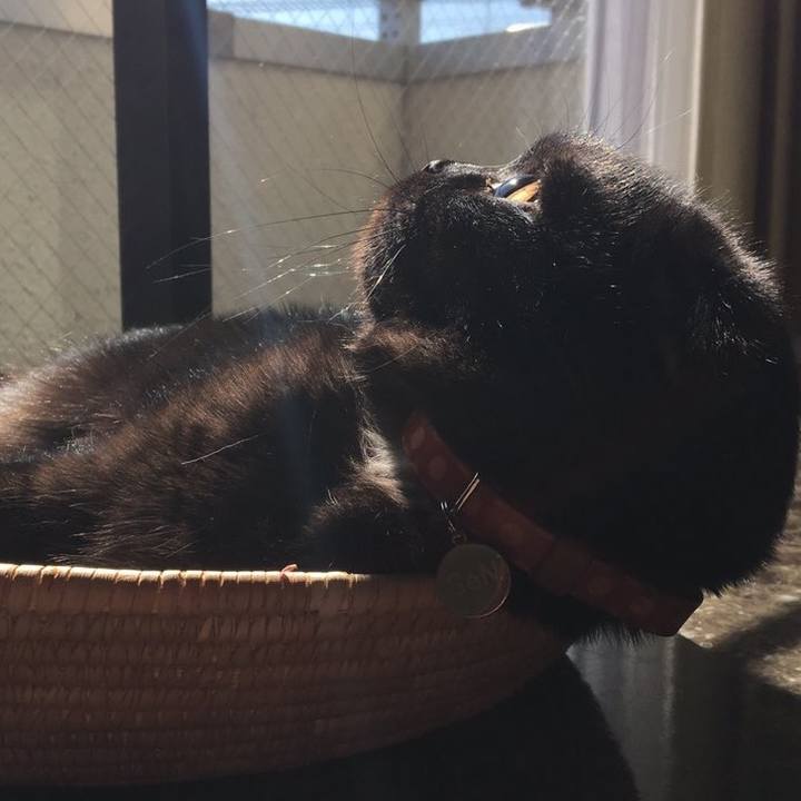 D81a64d0 0501 4fbe 9f68 a10c33ded55c