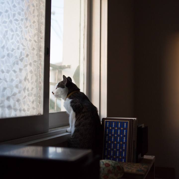 D81acfe0 9d3c 4cbd 88a0 73835e6d66ca