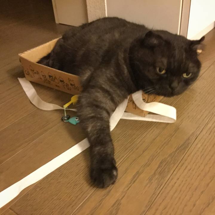 D81b1b99 66fd 4c97 8e66 620dafc4f226