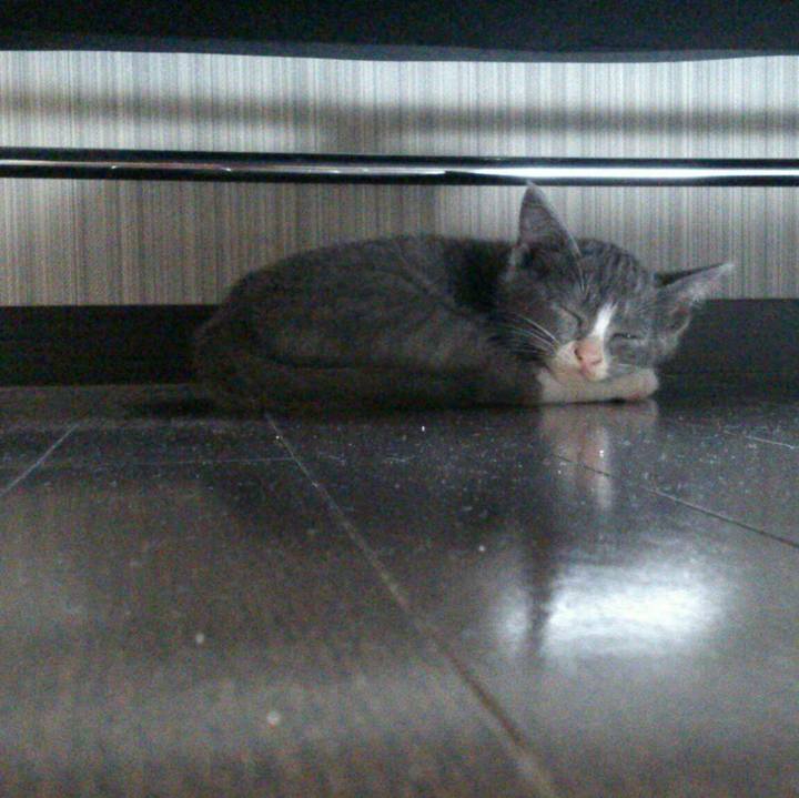 D81b3980 3960 4ab6 b689 c54a8ad0b1f6