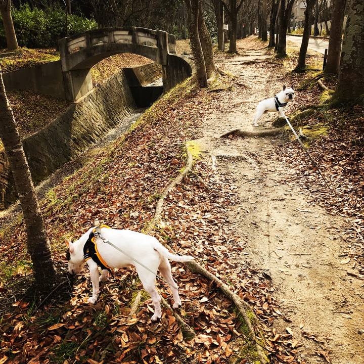 D81b3990 34fe 4e03 8114 9ea5fb6d3963