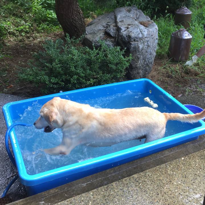 D81b7eef 8ba5 4fd8 8f94 c1ad934804ed