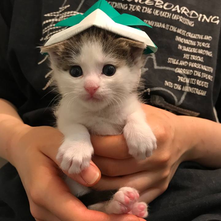 D81bad95 adc9 4610 ad1b 40013ce62079