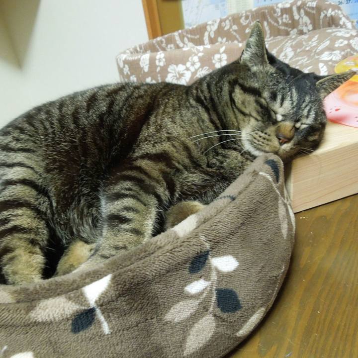 D81bbcb2 62df 4d26 8296 9a84c1ddcdae