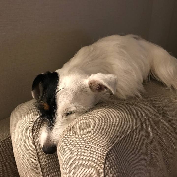 D81bc01a 24ab 4f50 ad68 bb79e504e687