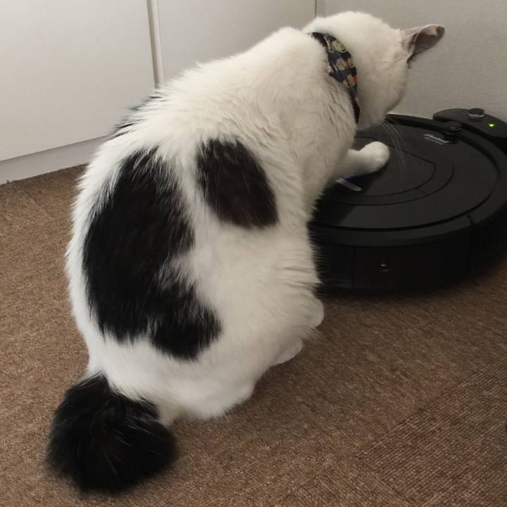 D81c9d72 08b6 42b9 8cdf 66e5476a3fdb