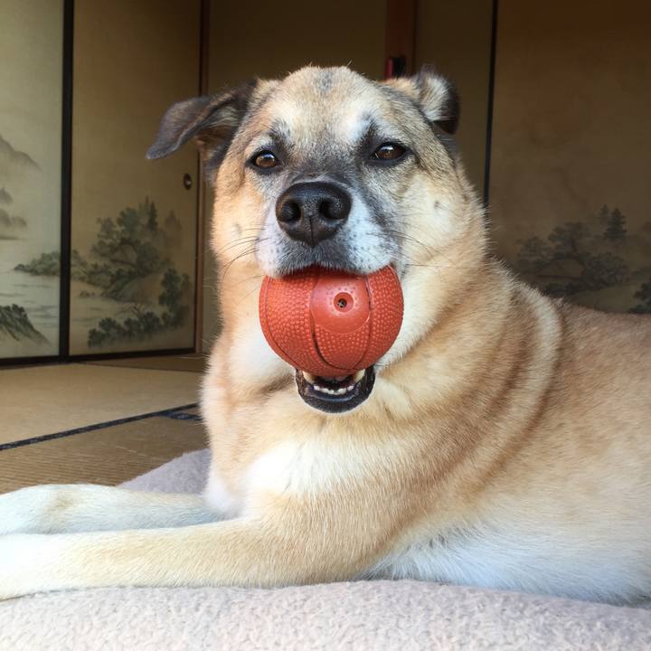 D81cc703 37cc 4b6c bbbb 2d098071fdb2