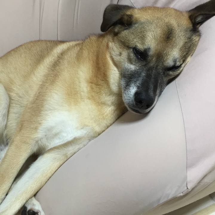 D81e04be 5eac 47da bd3e c07dc0b57eb8