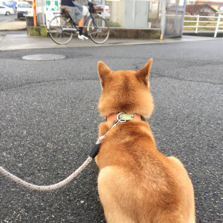 D81eb51b b5c7 4a4f 90d4 bbb689e3f707