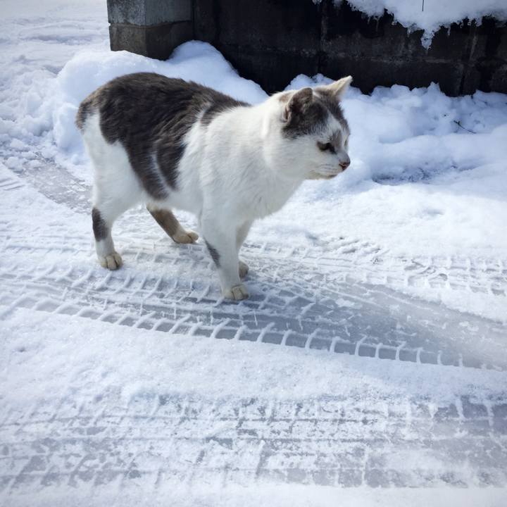 D81ef599 4ac4 4eaa 8b4b 15a8538b5519