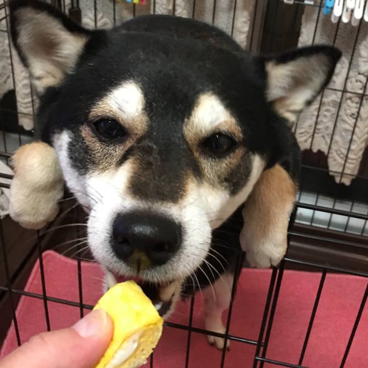 D81f9096 abe2 4c10 8cc8 1f5a02371c29