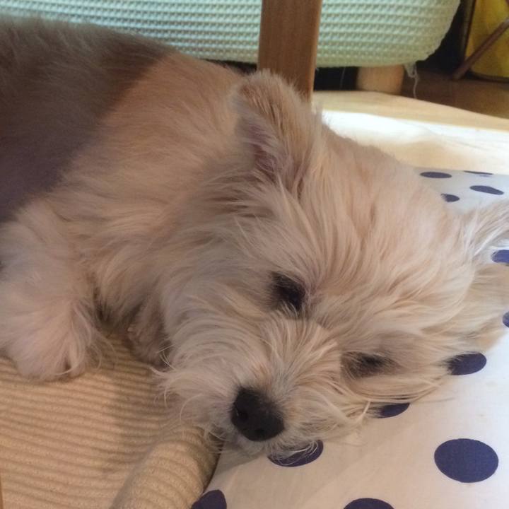 D8202ef2 3533 4118 bc58 5153be20ddaf