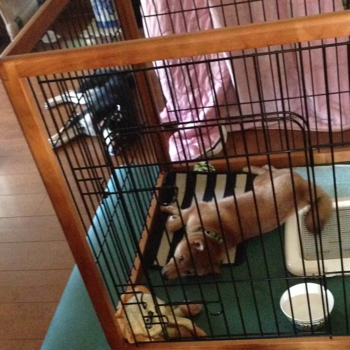 D8215bcd 0a30 471c a953 7c9b4968188b