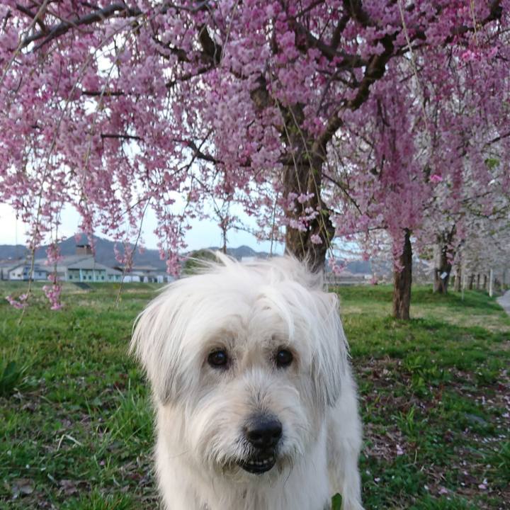 D82165f5 171e 45a3 9305 aba3ad727868