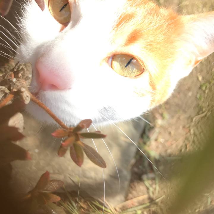 D821a413 5794 485c 82fe ad7adf7c70ca