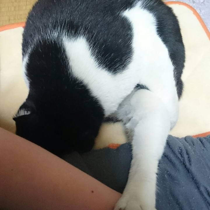 D8220e2d 6094 46aa b0ab 37a44b035e51