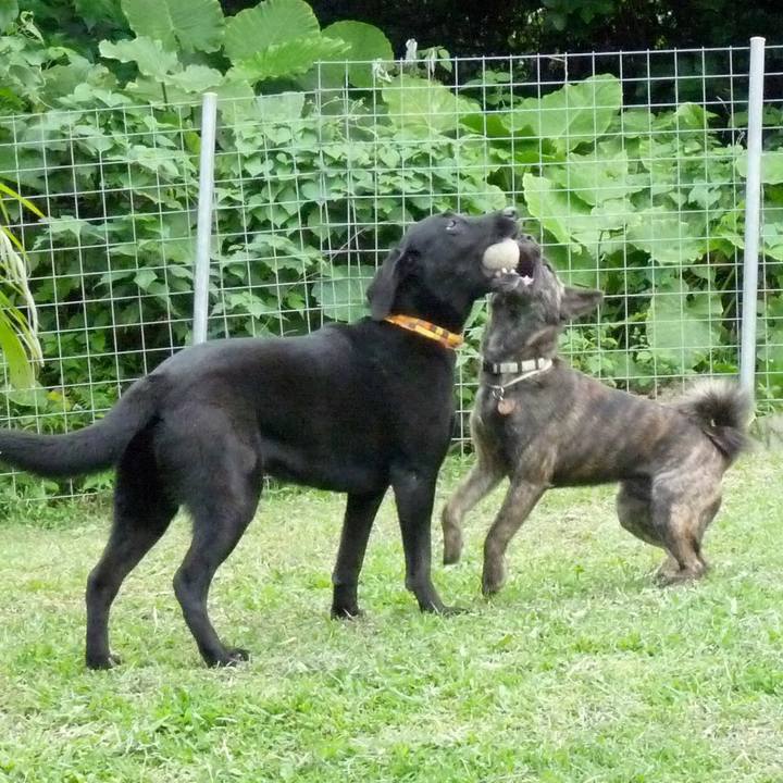 D8222e4a 121b 4b2a 9bfd 9f198f6f20eb