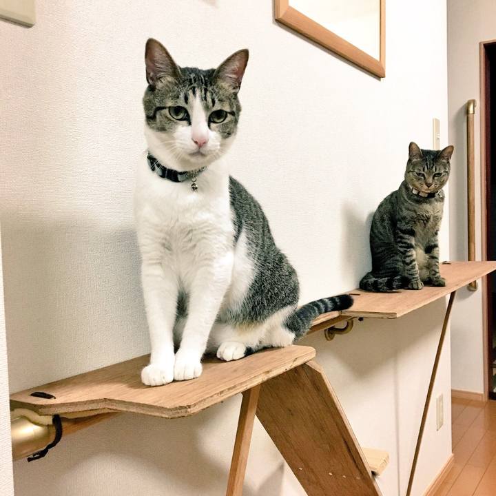 D82335df 4dfe 4692 97db 355505aa4855