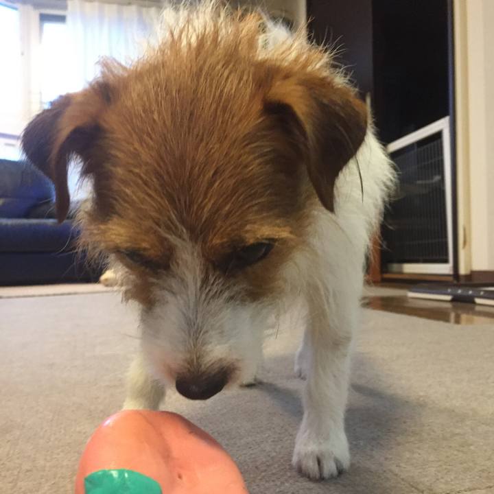 D8241d62 2d25 4a77 b7fd b676c79fad7e