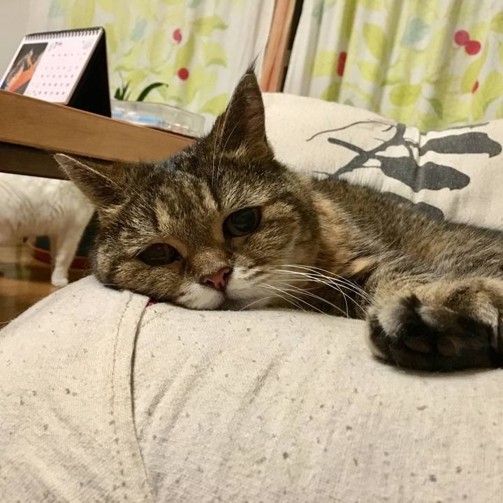 D8243f55 d000 4def aca2 f37d0cd53cb6