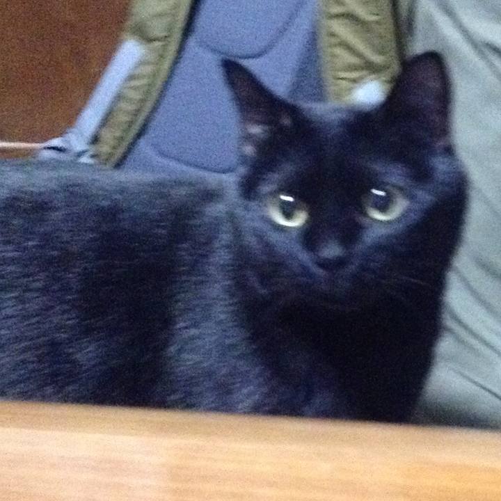 D8247620 ad6d 4495 850d 4234a4f3e7a2