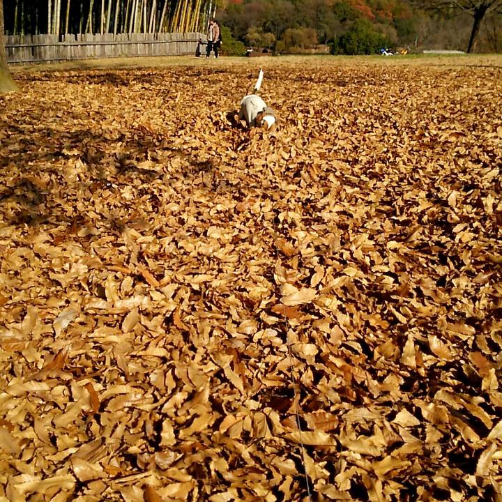 D82487b8 bd9d 4f2e a4f0 77f92c850b9f