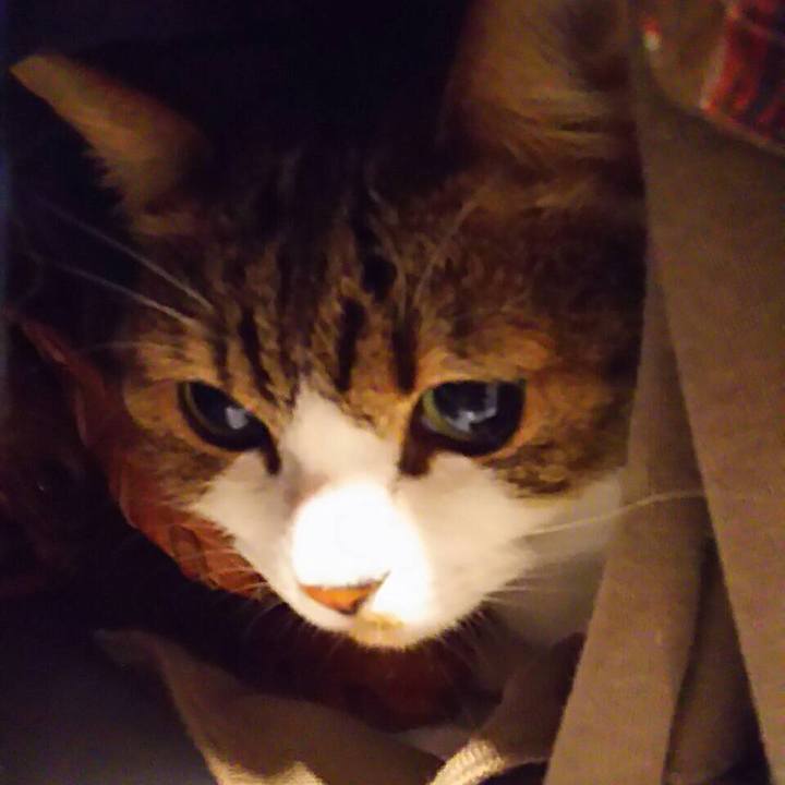 D824a2c3 520c 40b8 8bd4 c00b99abb806