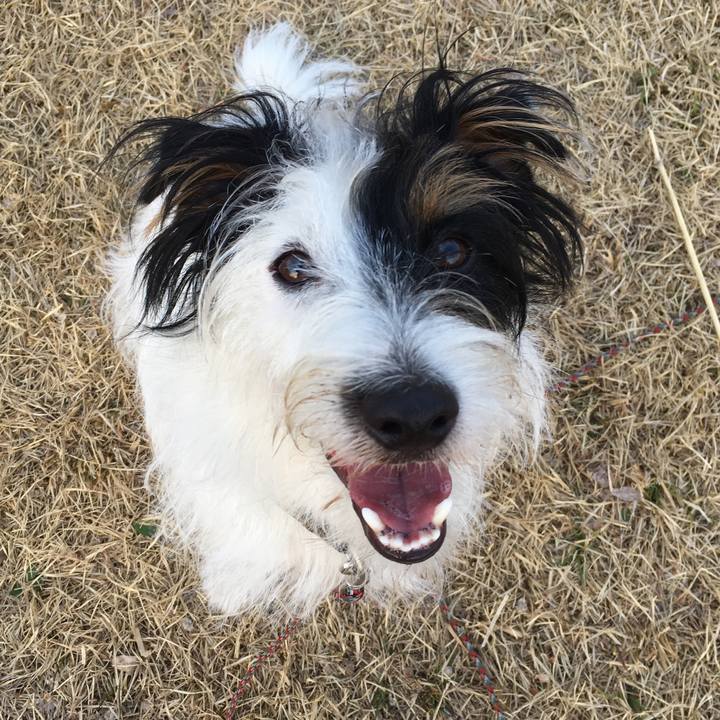 D825543b fcd9 4a2b 9afa 30b03b531d98