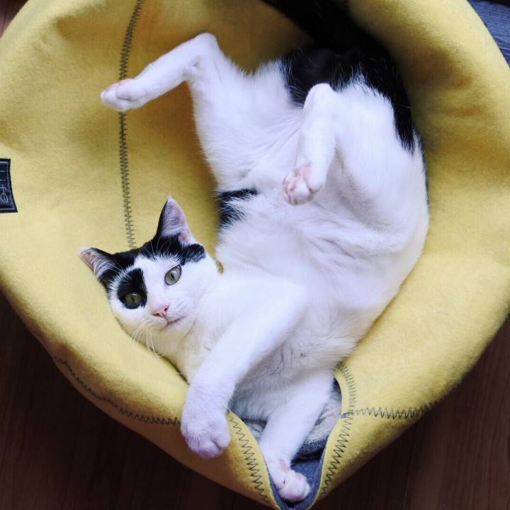 D8262812 614c 40a7 b83b 7348026d4d3e