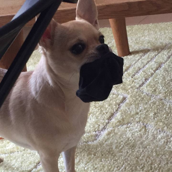 D8262e0d ada3 4125 a803 38420440b7f9