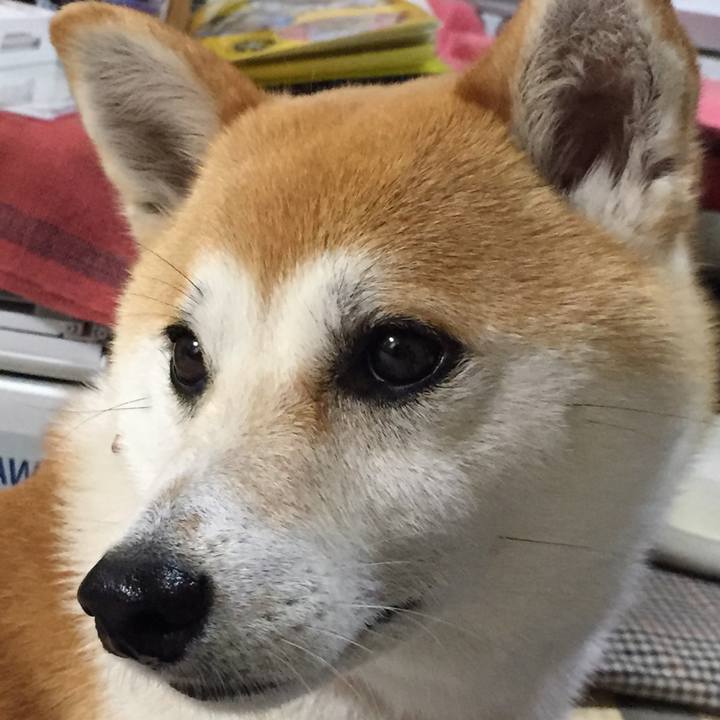 D8265998 5616 478f 8fc9 3ce7034fae49