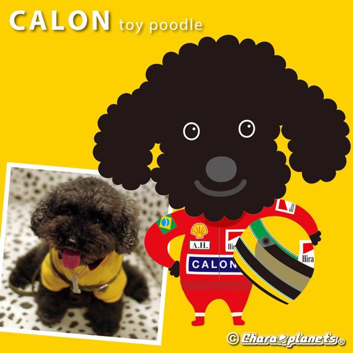 D8275933 d2e4 4371 a1ad e473a1e65e3c