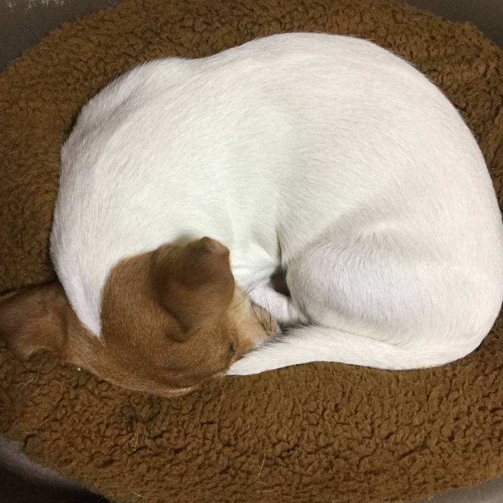 D8277dbd dfe4 432f b392 de422cf7f925