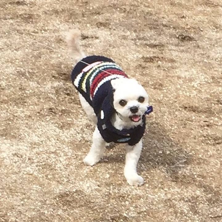 D827d2cc 9ca9 4906 ae5a 3daa533505cb