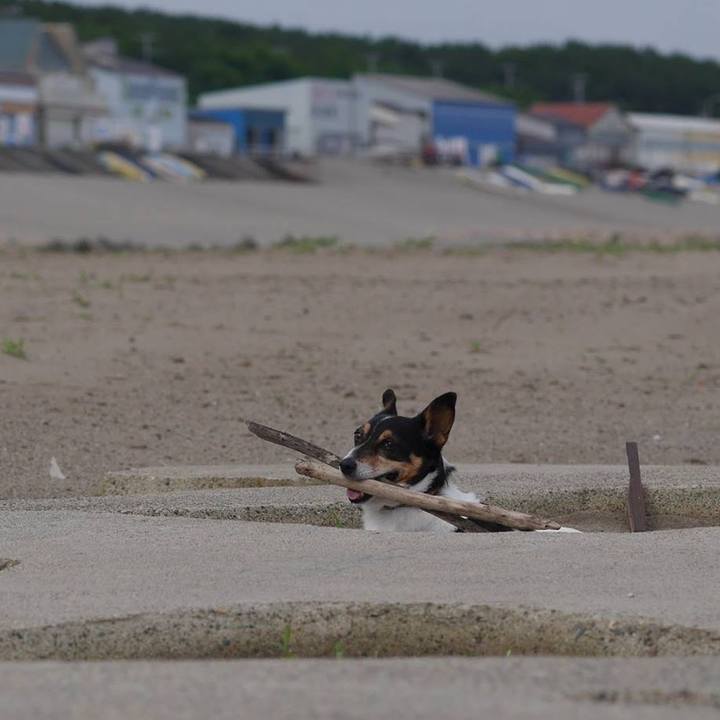 D8285e71 ad7f 4030 8e18 67538cb6c2ec