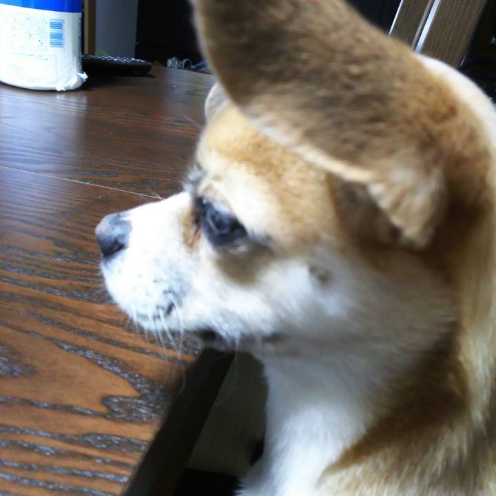 D828ec26 b117 4a0e bc86 4f38e82736cd