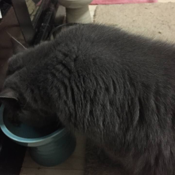 D829562f 09f3 4419 8d69 5fe5851aec89