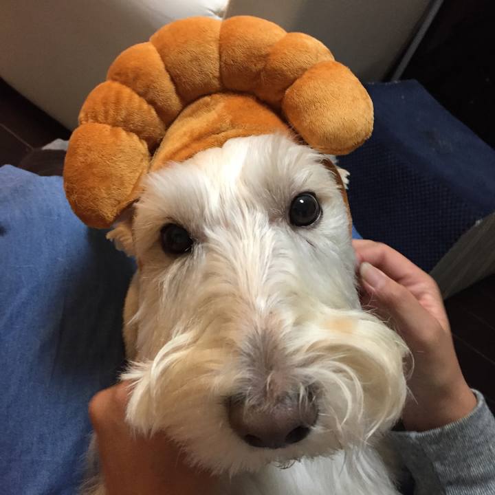 D829ec9d 9689 4d40 bc97 9e91f76f8a27