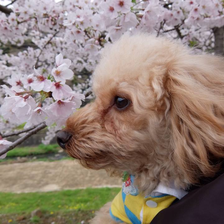 D829f749 7afb 4f80 b085 1a9a1d214084