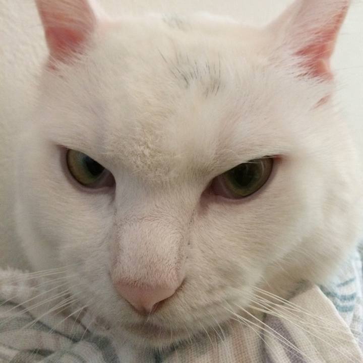 D82a286b 7236 45ae b79c c21ae19ec14c