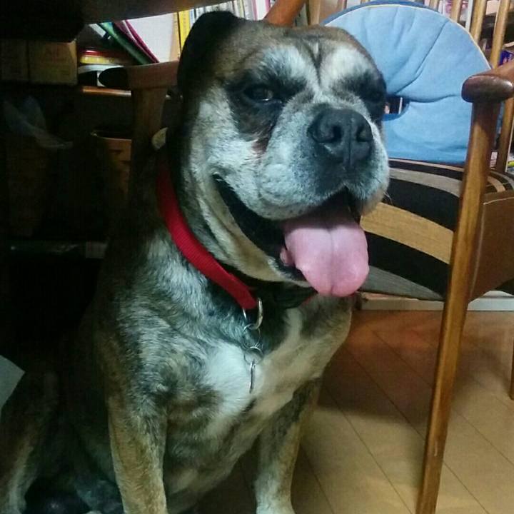 D82a7bc5 03b4 4189 9bdb 9a6f0632089e