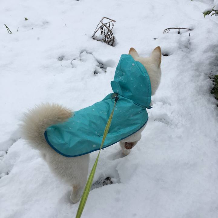 D82bbcf5 c9d2 46c8 9b65 2fa3b5eb2b9c