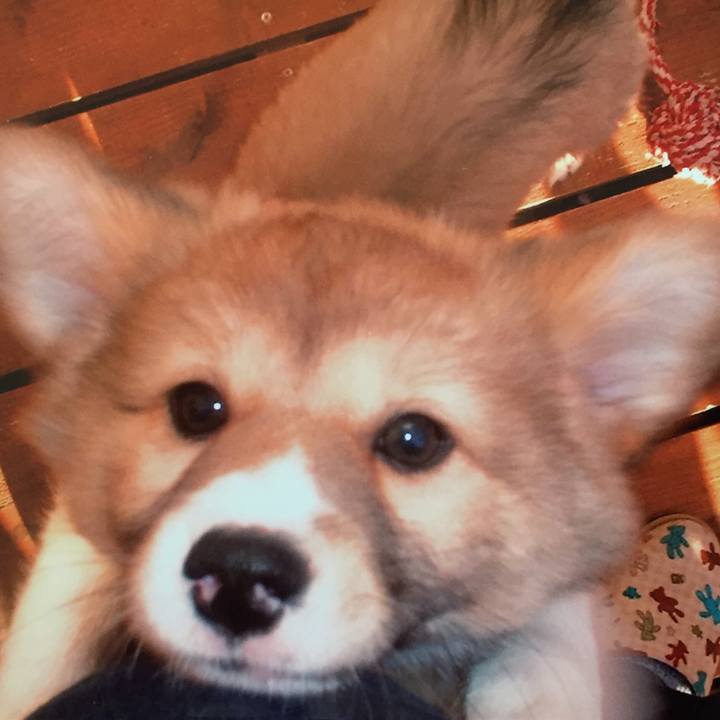 D82cb424 5d3a 4380 a8ad 6ced30e21204