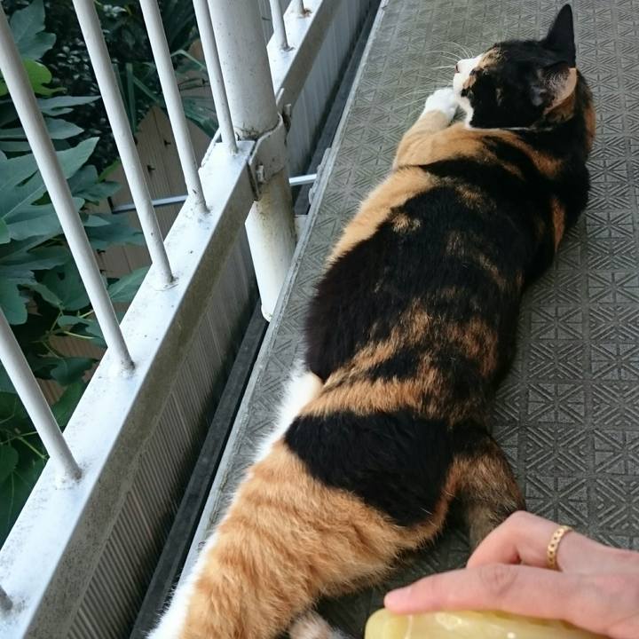 D82d2f0c dd10 4e84 ab67 8911dd5cc4ee